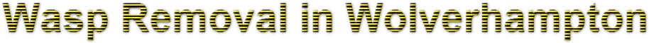 Wasp Nest Removal In Wolverhampton